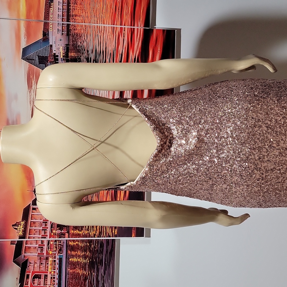 Zara Basic Collection Rose Gold Sequin Midi Dress… - image 6